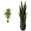 Nearly Natural 43in. Dracaena Silk (Real Touch) Artificial Plant, Green & Green 4855 35in. Sansevieria with Black Planter